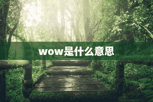 wow是什么意思(wow是什么意思英语)